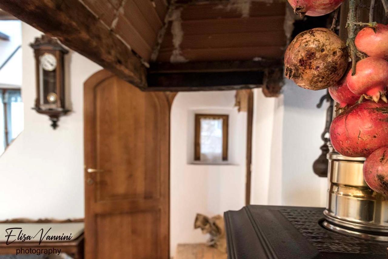 A Casa Di Titta Villa Terricciola Dış mekan fotoğraf